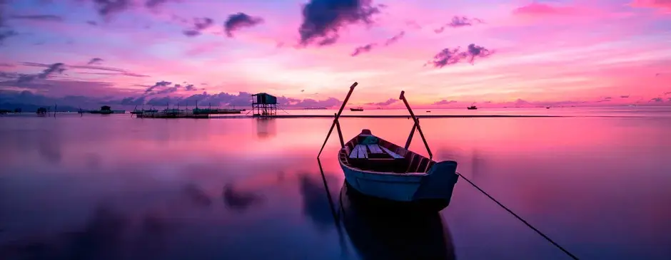 Cursos de Reiki y Terapia Reiki - Online - Maestra Federada - AHIMSA REIKI