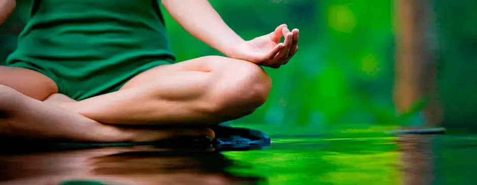 Cursos de Reiki y Terapia Reiki - Online - Maestra Federada - AHIMSA REIKI