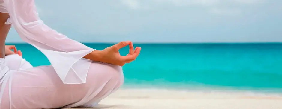 Cursos de Reiki y Terapia Reiki - Online - Maestra Federada - AHIMSA REIKI